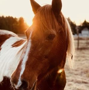 Meet your Posher, Esther